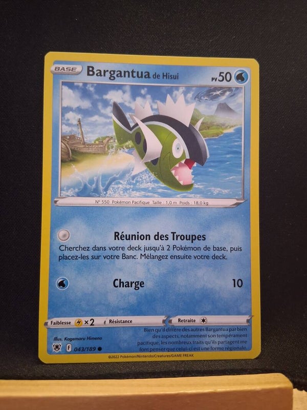 Bargantua De Hisui 50-6