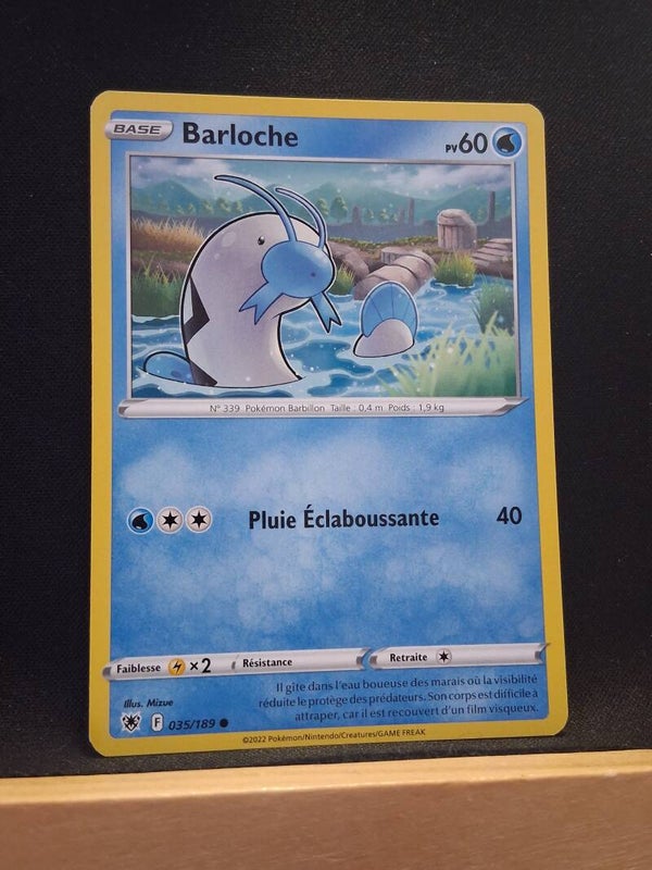 Barloche 60-1