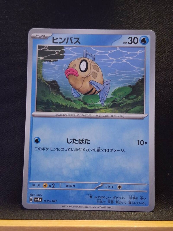Barpau 30 (Japonais)4