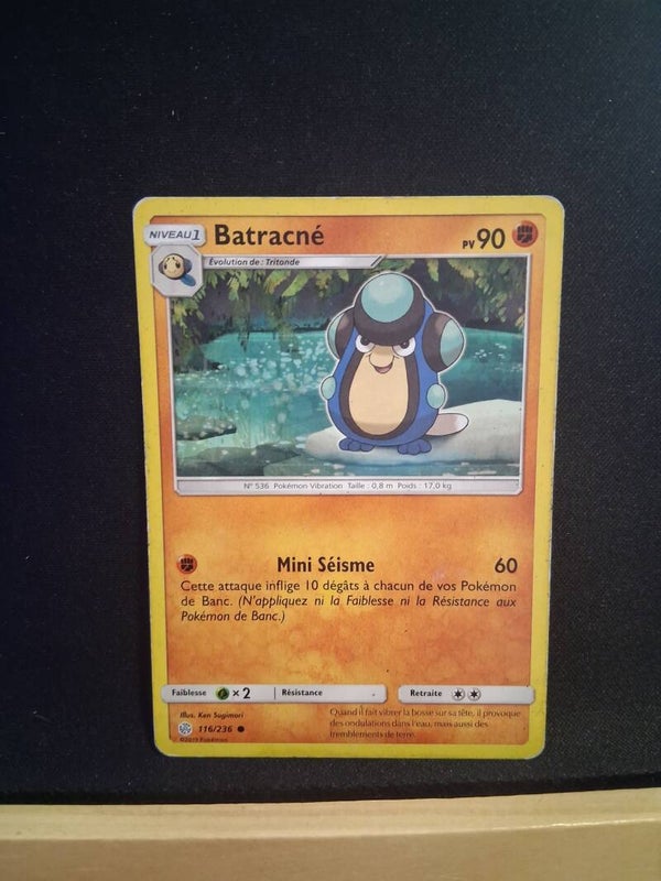 Batracne 90-1