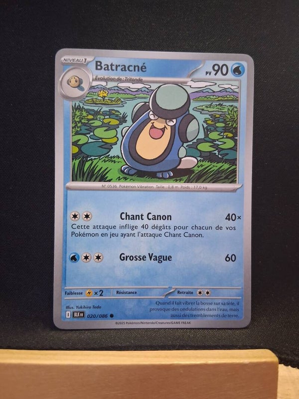 Batracne 90-2