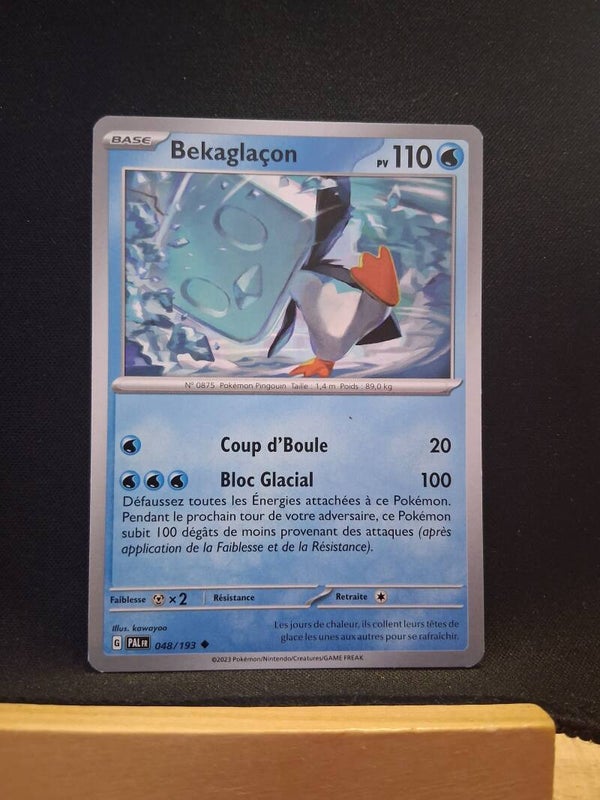 Bekaglaçon 110-1