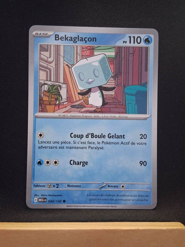 Bekaglaçon 110-2