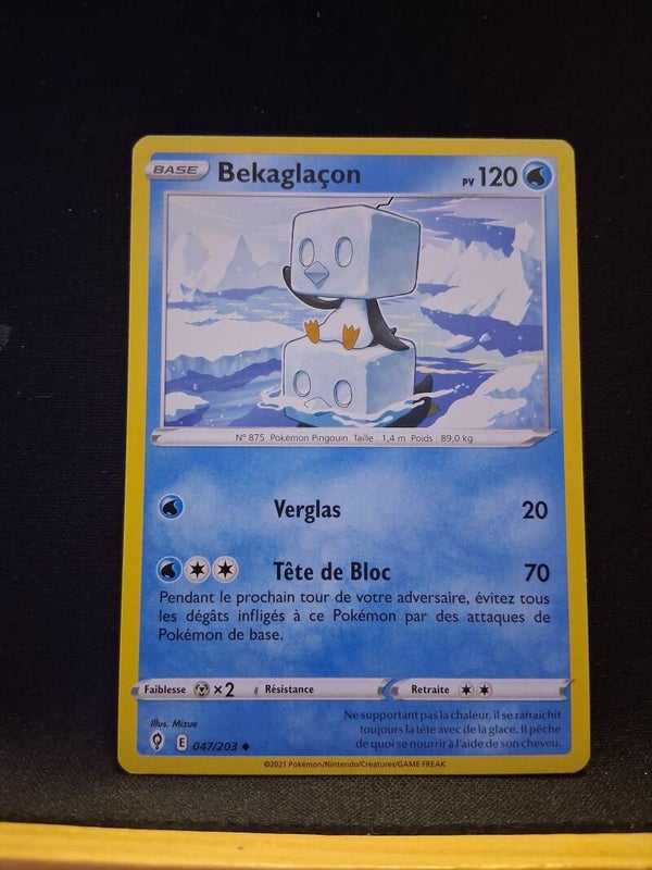 Bekaglaçon 120-1