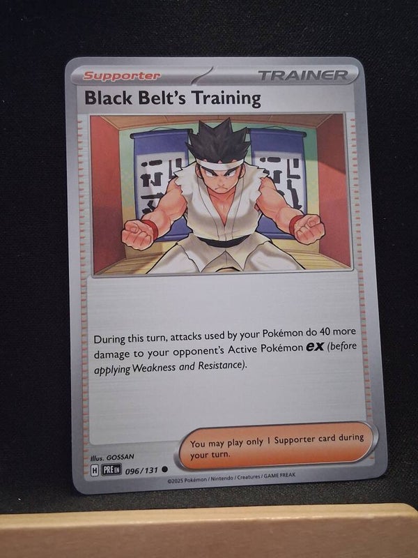 Black Belt's Training (Dresseur)1