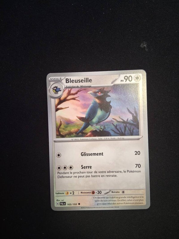Bleuseille 90-1