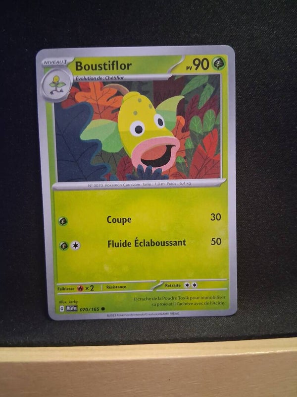 Boustiflor 90-1