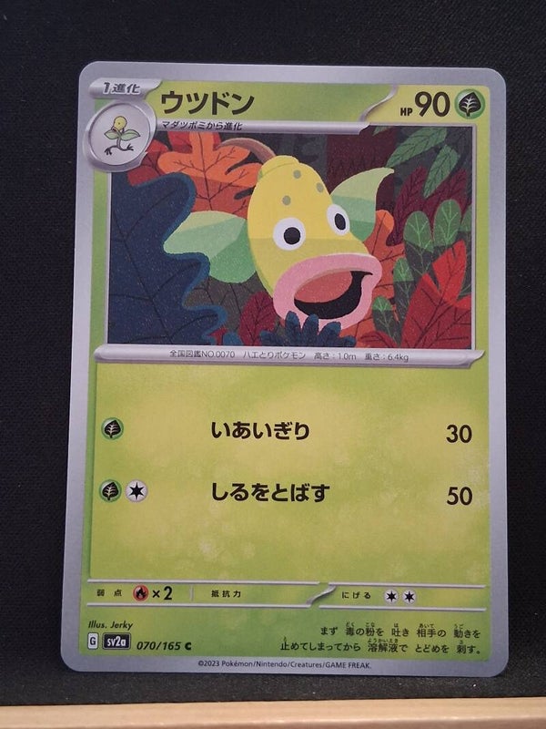 Boustiflor 90 (Japonais)1
