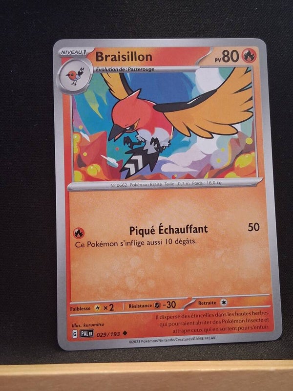 Braisillon 80-5