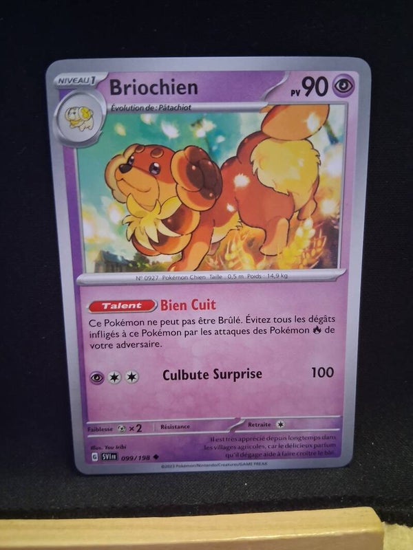 Briochien 90-1