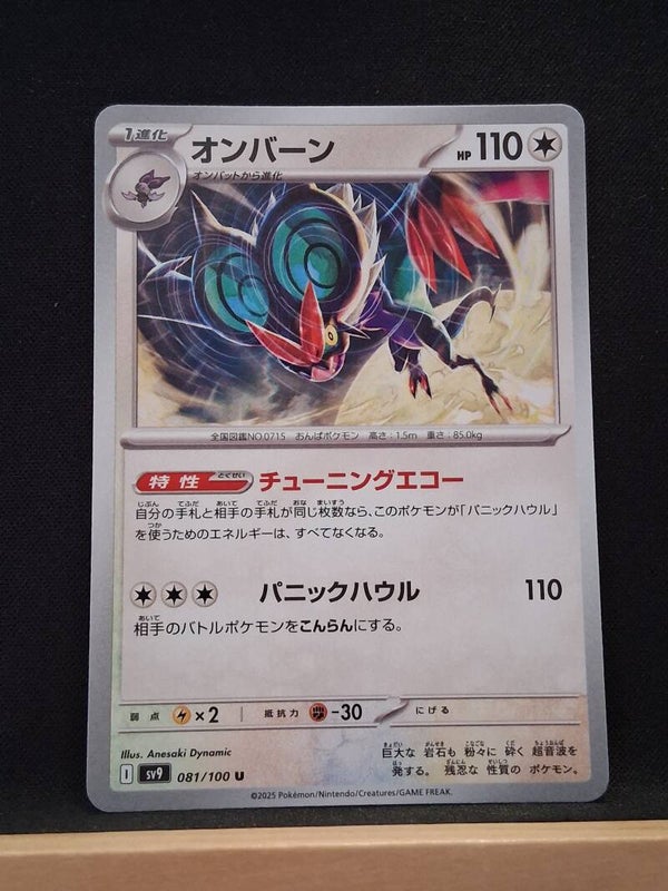 Bruyverne 110 (Japonais)1