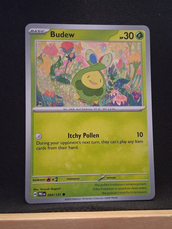 Budew 30-1