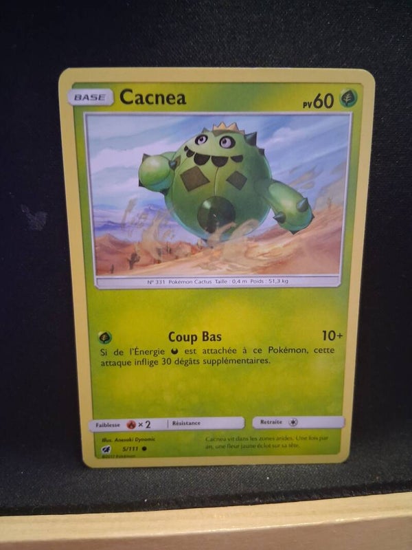 Cacnea 60-1