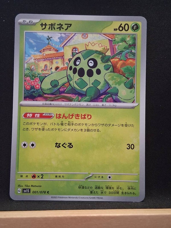 Cacnea 60 (Japonais)1