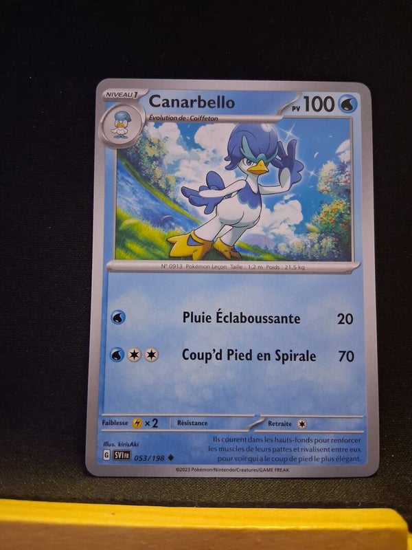 Canarbello 100-1