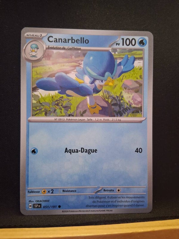 Canarbello 100-2