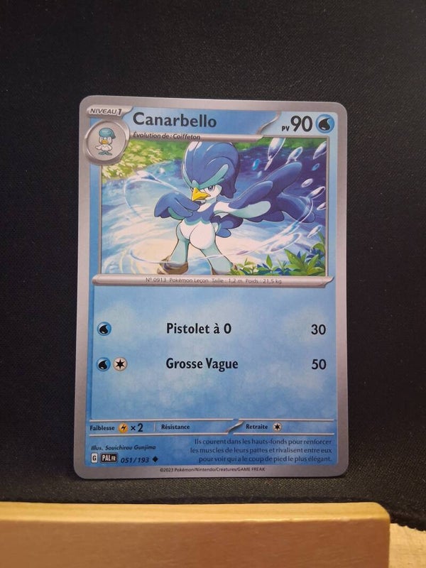 Canarbello 90-1