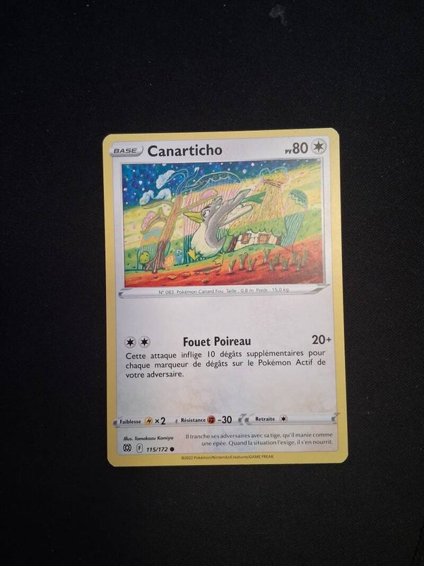 Canarticho 80-1