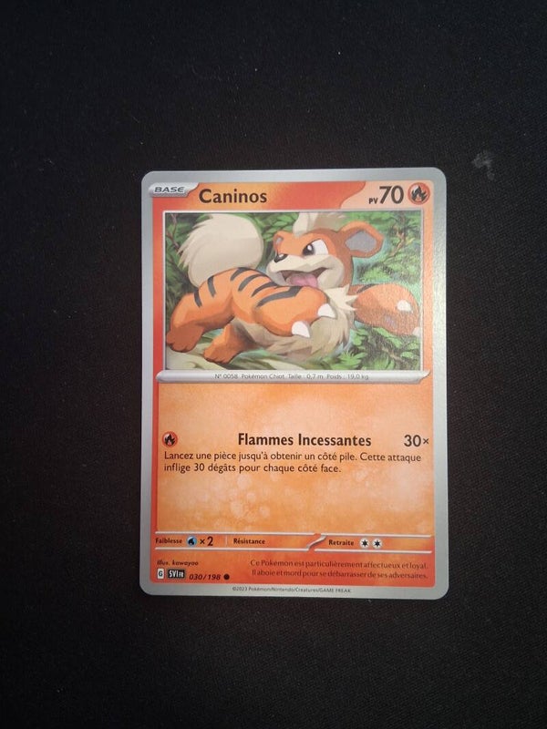 Caninos 70-1