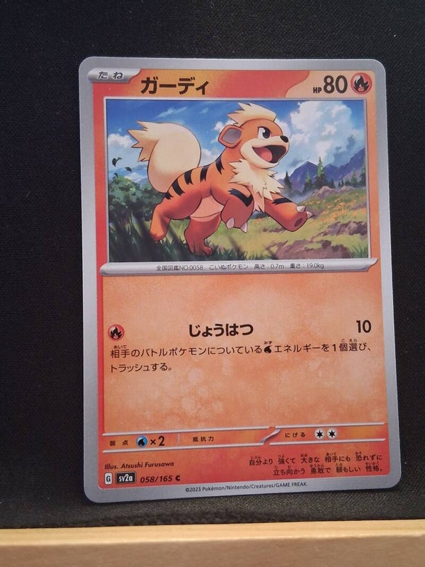 Caninos 80 (Japonais)1