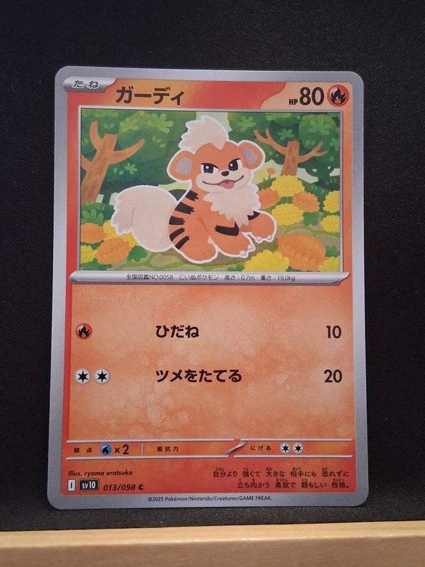 Caninos 80 (Japonais)2