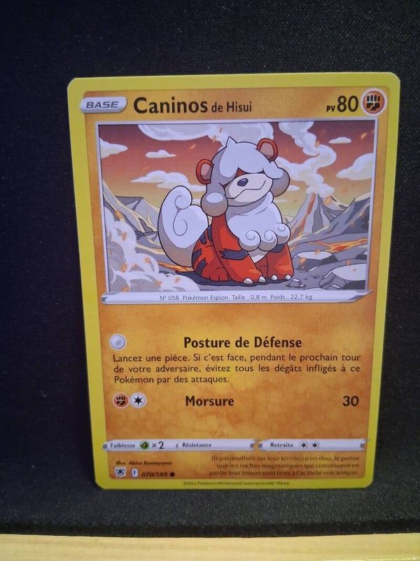 Caninos De Hisui 80-16