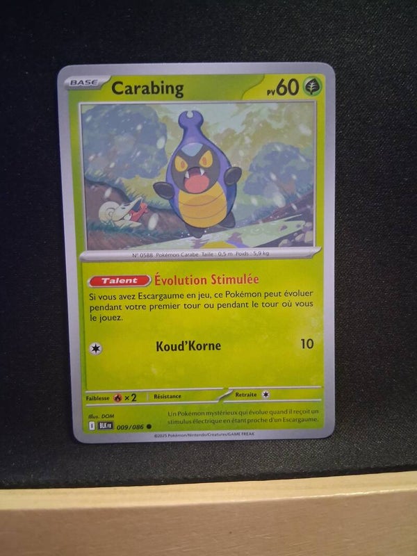 Carabing 60-1