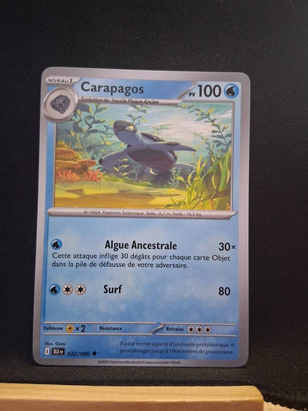 Carapagos 100-2