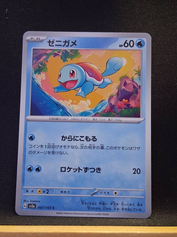 Carapuce 60 (Japonais)1