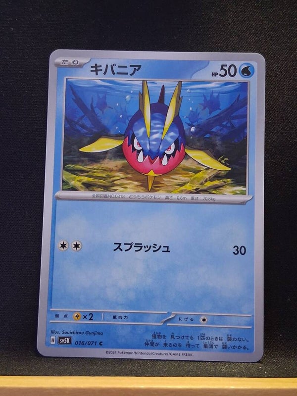 Carvanha 50 (Japonais)1
