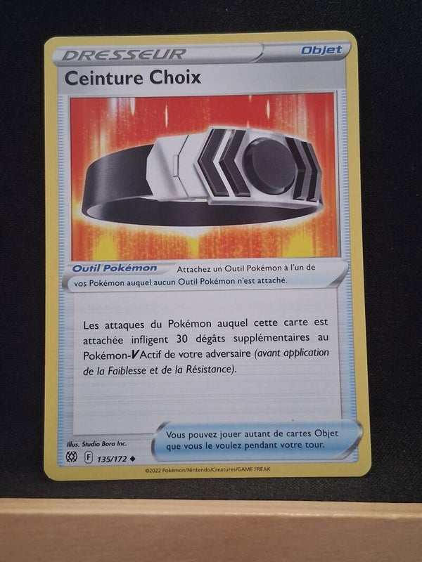 Ceinture Choix (Dresseur)1