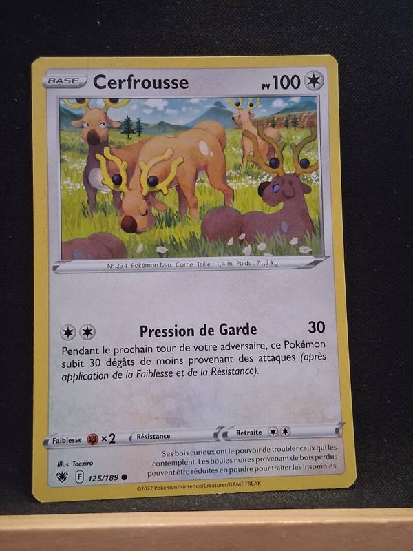 Cerfrousse 100-10