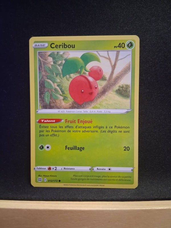 Ceribou 40-1