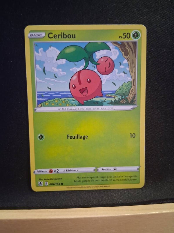 Ceribou 50-1