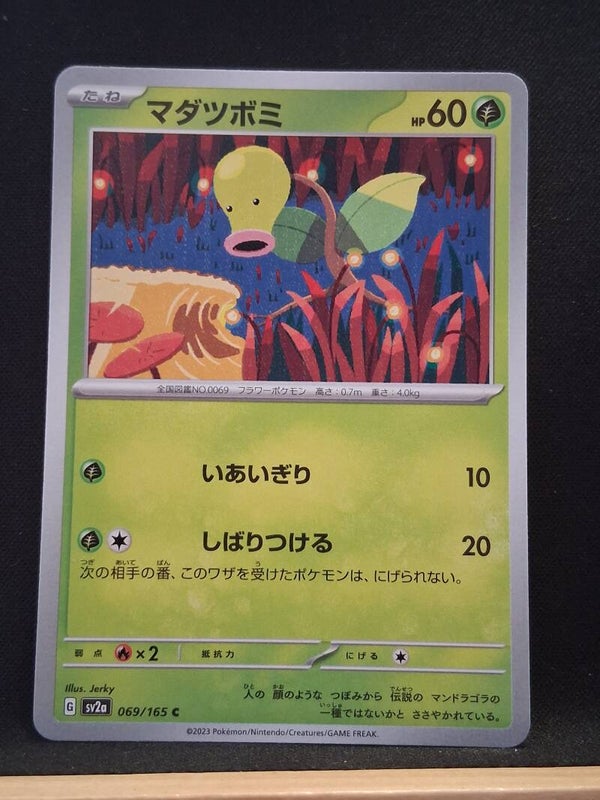 Chétiflor 60 (Japonais)1