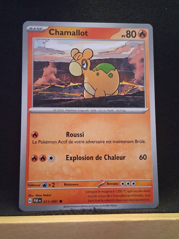 Chamallot 80-1
