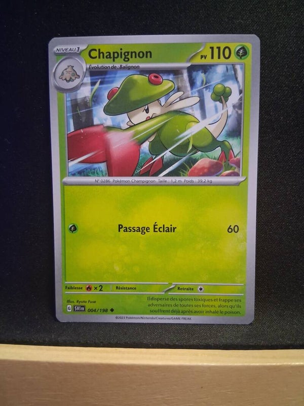 Chapignon 110-1