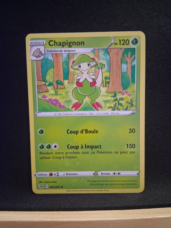 Chapignon 120-2