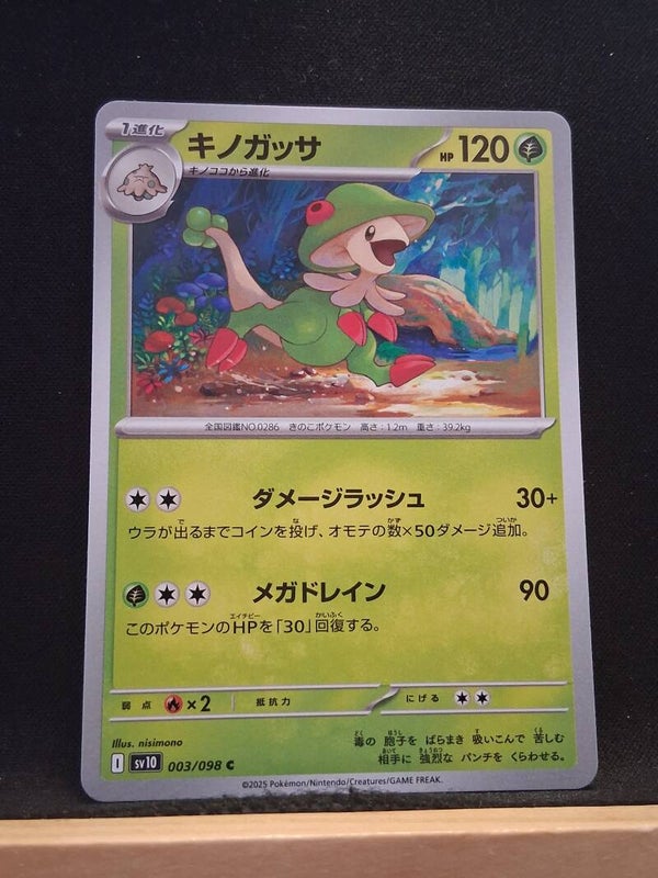 Chapignon 120 (Japonais)1