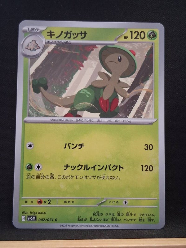 Chapignon 120 (Japonais)2