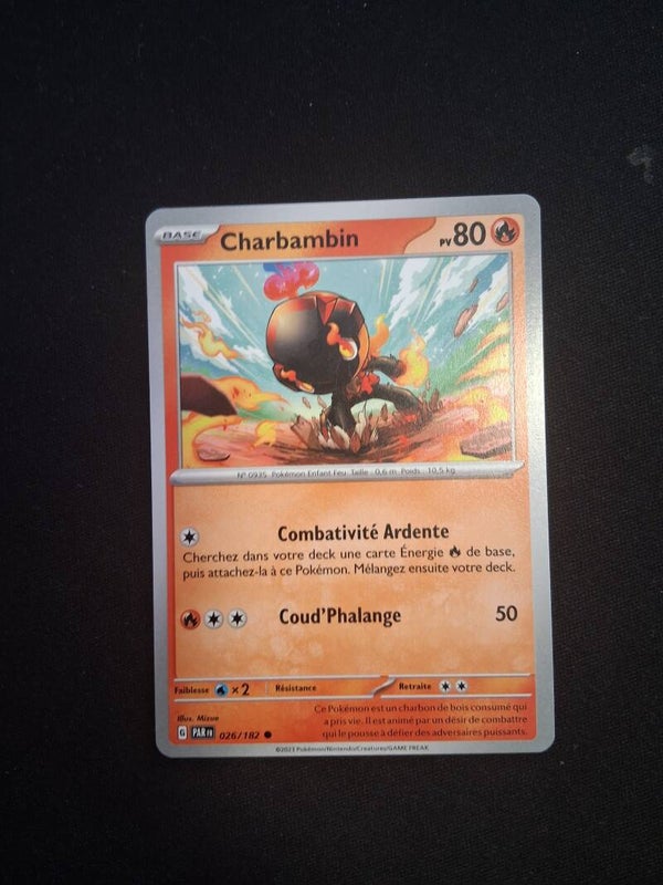 Charbambin 80-1