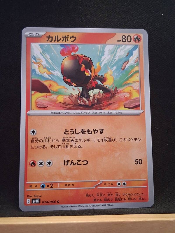 Charbambin 80 (Japonais)1