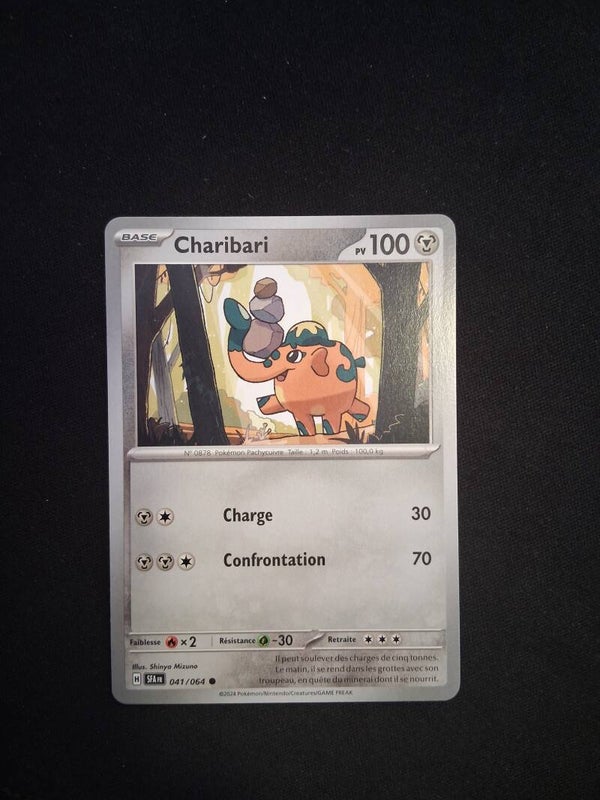 Charibari 100-2
