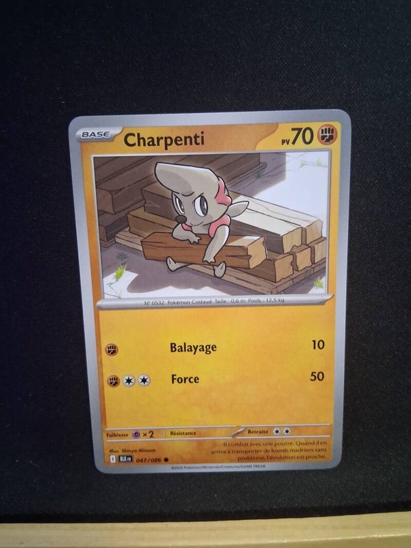 Charpenti 70-1