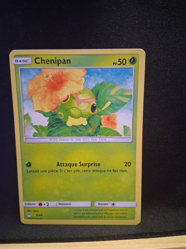 Chenipan 50-10