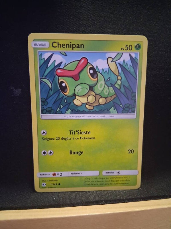 Chenipan 50-13
