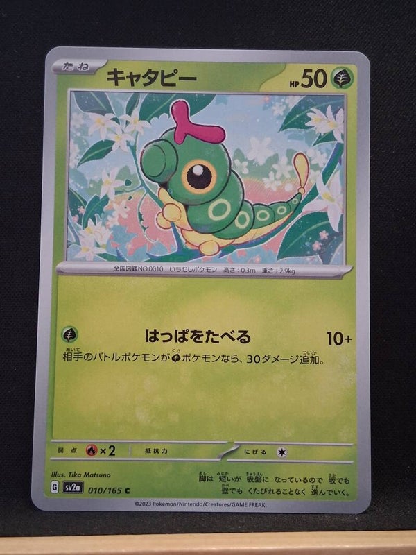 Chenipan 50 (Japonais)5