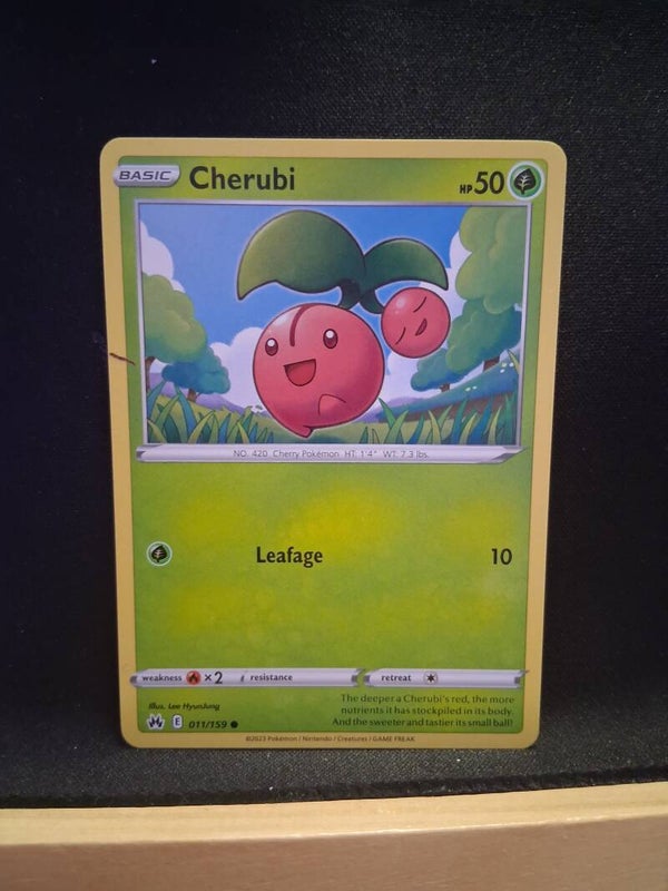 Cherubi 50-1