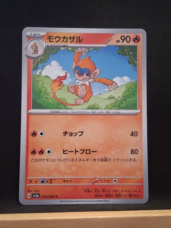 Chimpenfeu 90 (Japonais)1