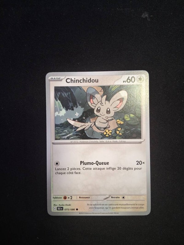 Chinchidou 60-6